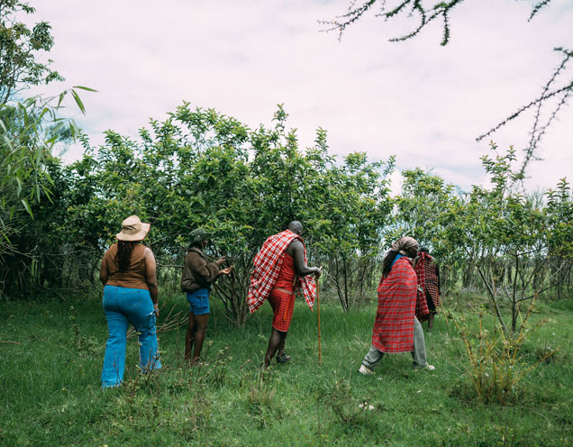 Maasai Bush Walk