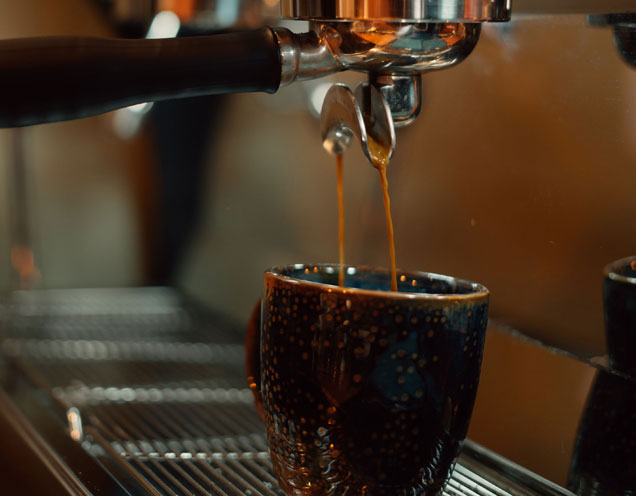Coffee and Tea Plantation Visits