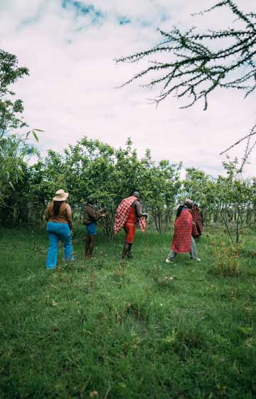 bush walks activities at tano bora hotel